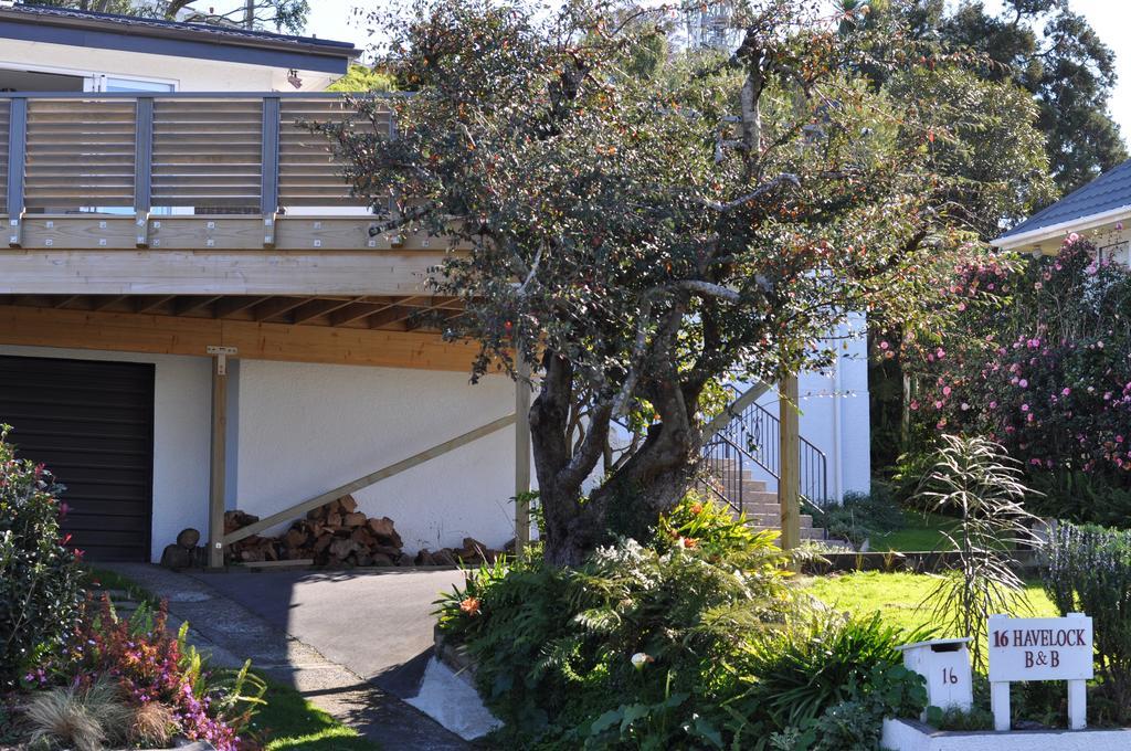 16 Havelock Bed and Breakfast New Plymouth Exteriör bild