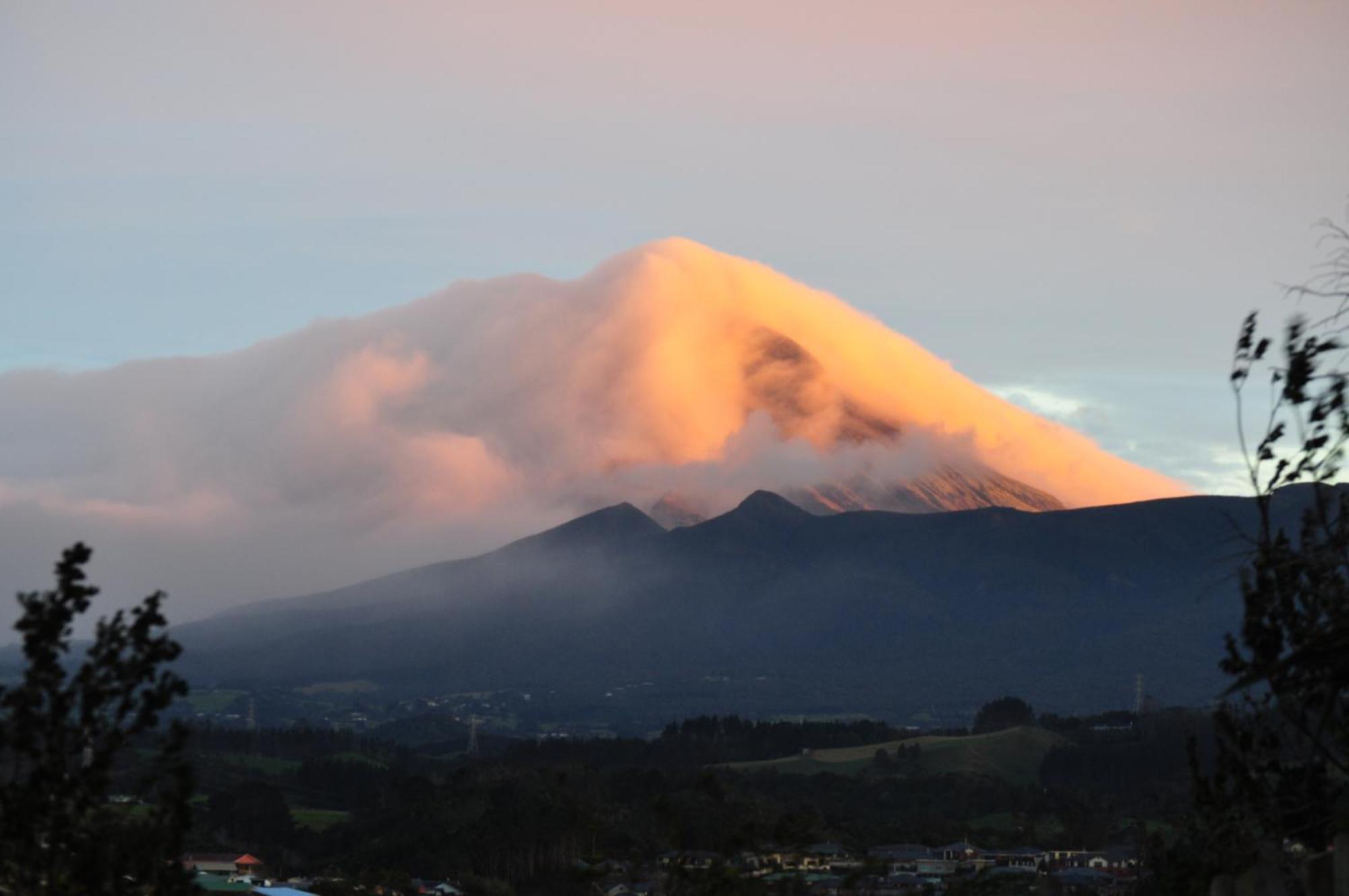 16 Havelock Bed and Breakfast New Plymouth Exteriör bild
